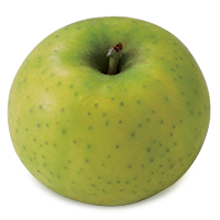 Ananas Reinette apple (Bar Lois Weeks photo)
