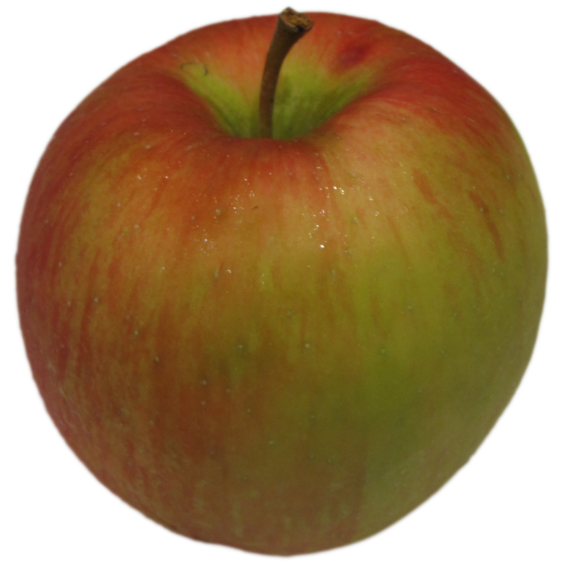 Honeycrisp - New York Apple Association