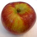 Macoun apple (Bar Lois Weeks photo)