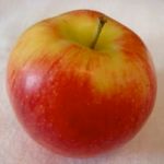 Jonagold apple (Bar Lois Weeks photo)