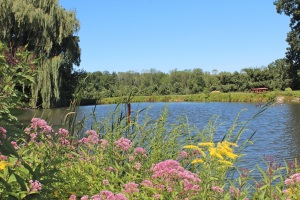 Apple trees can be seen beyond a pond at Hickory Hill Orchards, Cheshire, Connecticut. (Bar Lois Weeks photo)